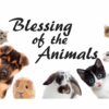Blessing of the Animals  10-4-2022